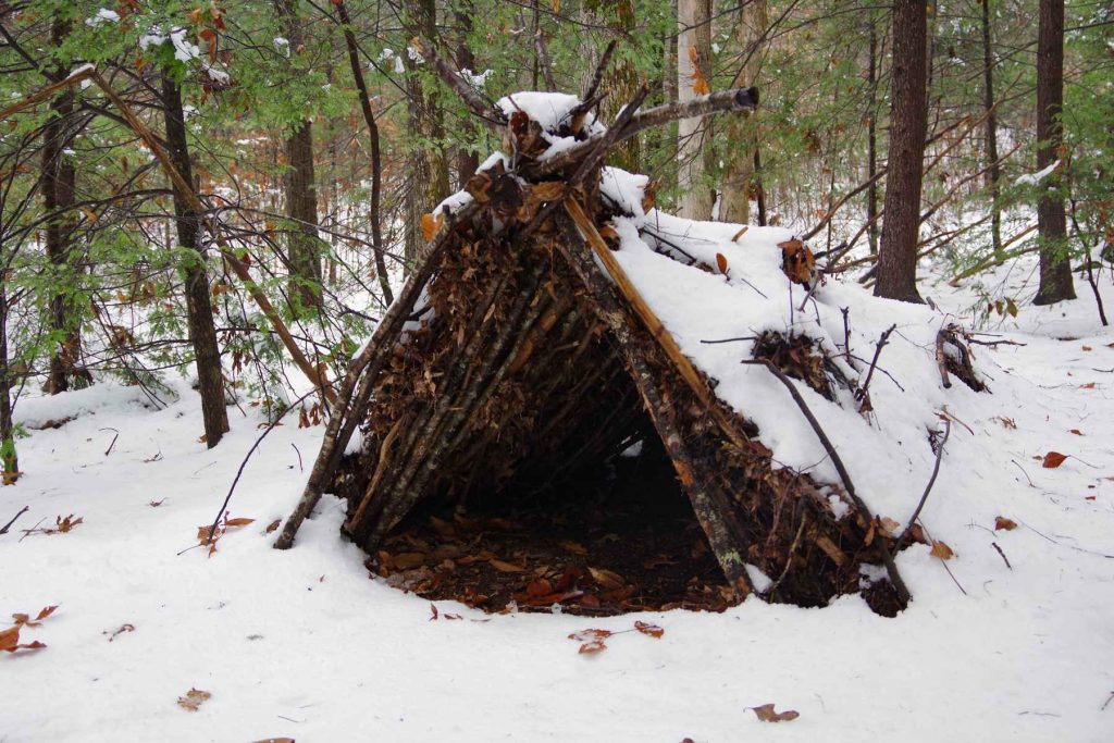 Building a Wickiup Step-By-Step Guide