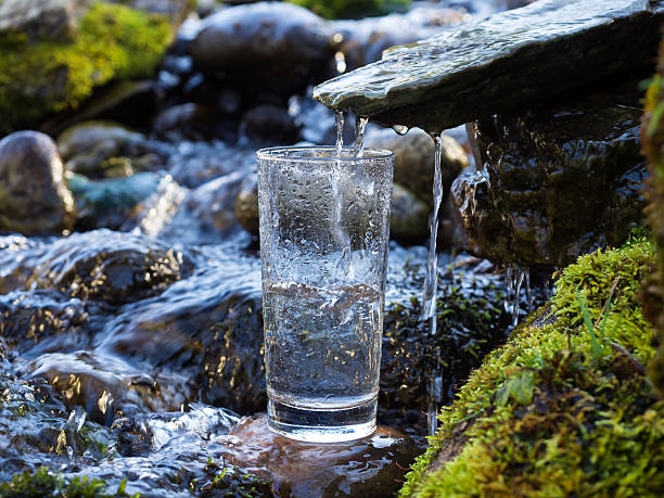 How to Find a Spring in the Woods