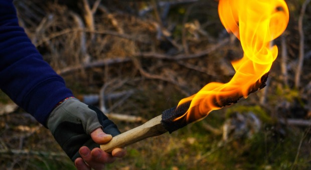How to Make a Torch in the Forest