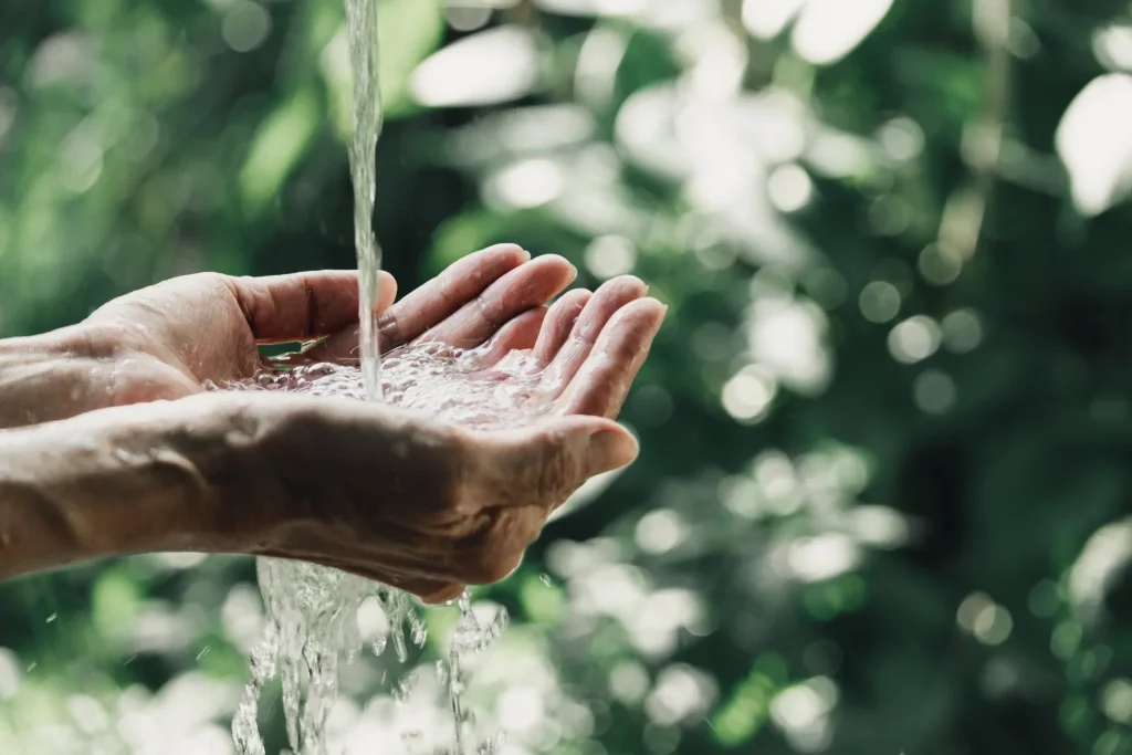 How to Purify Water in the Wild