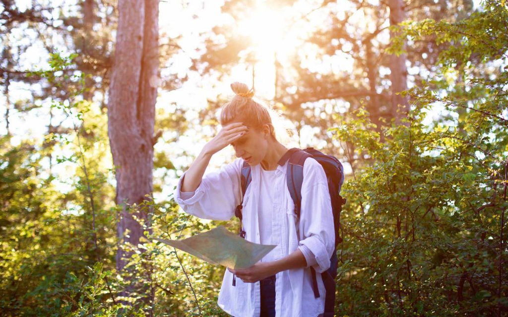 What to Do if You Are Lost in a Forest